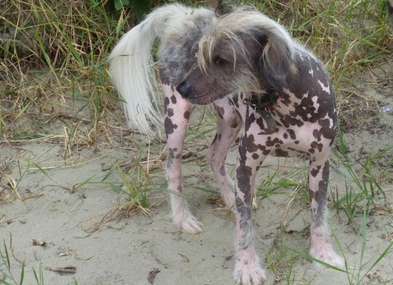 Прикрепленное изображение