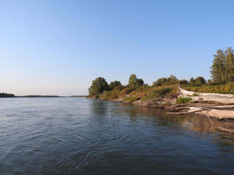 Прикрепленное изображение