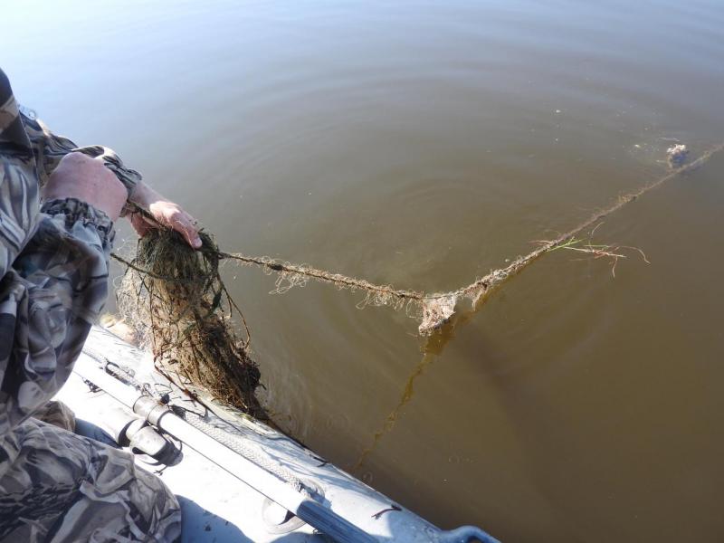 Прикрепленное изображение