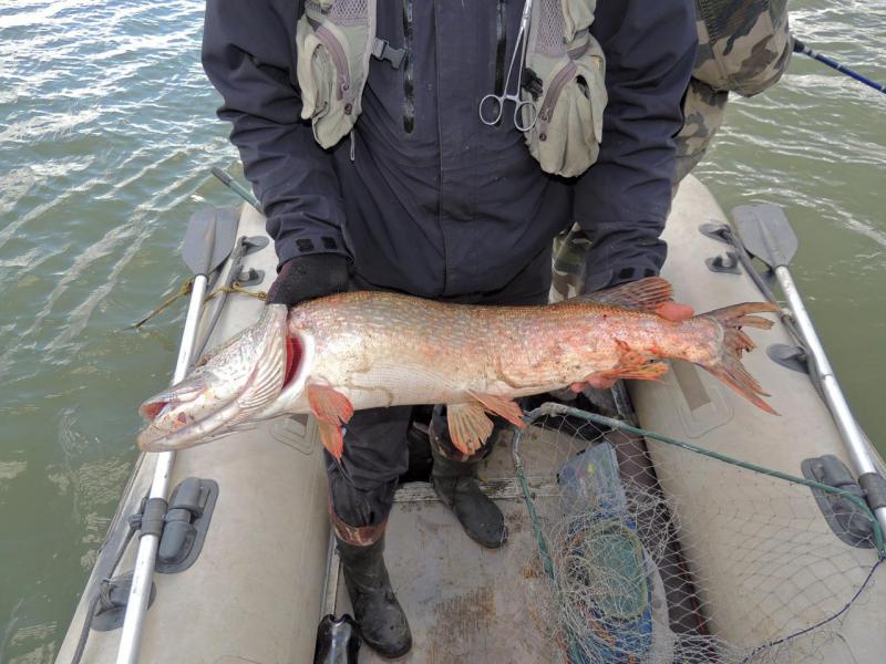 Прикрепленное изображение