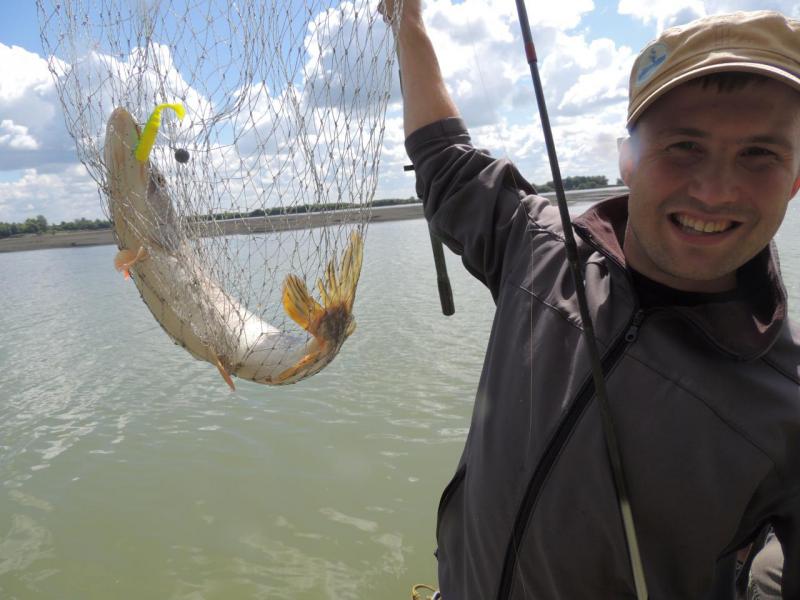 Прикрепленное изображение