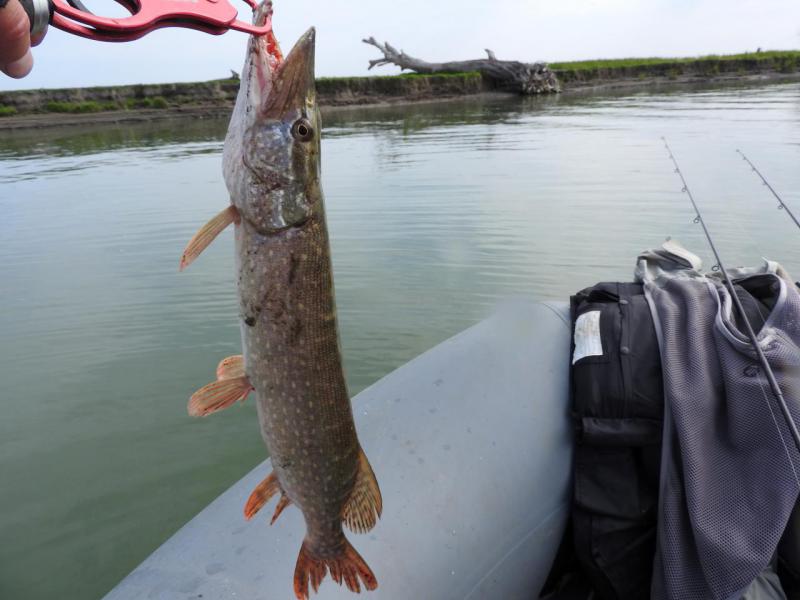 Прикрепленное изображение