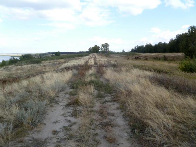 Прикрепленное изображение