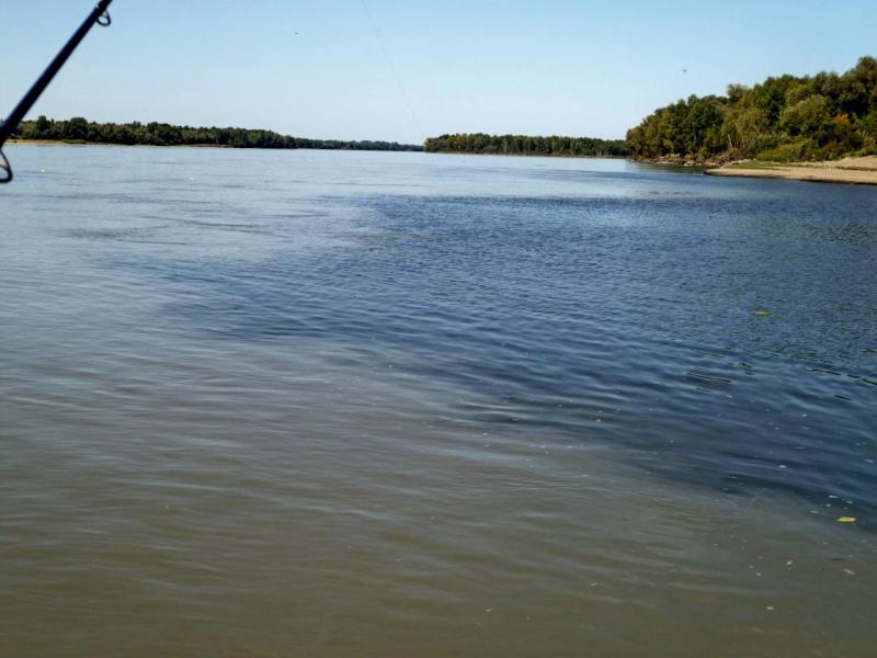 Прикрепленное изображение