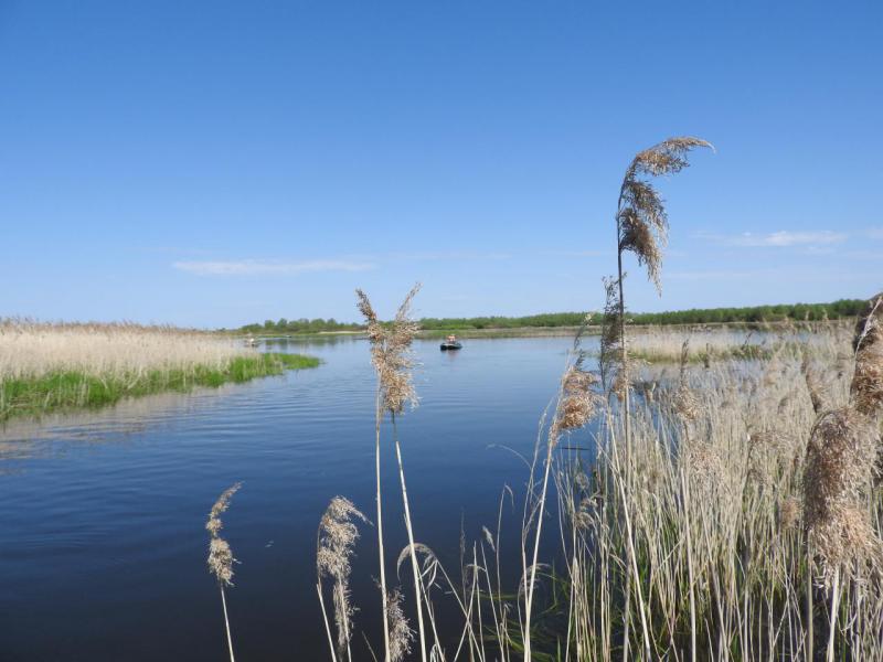 Прикрепленное изображение