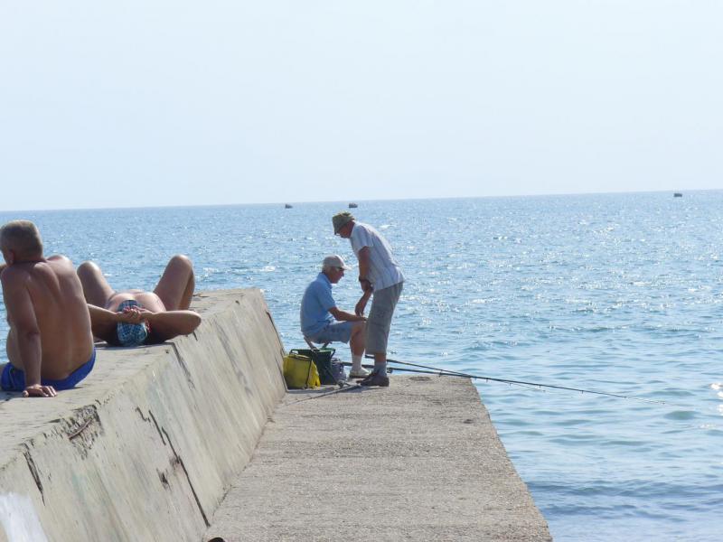 Прикрепленное изображение