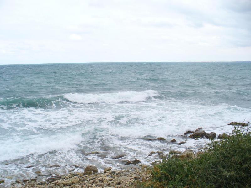 Прикрепленное изображение