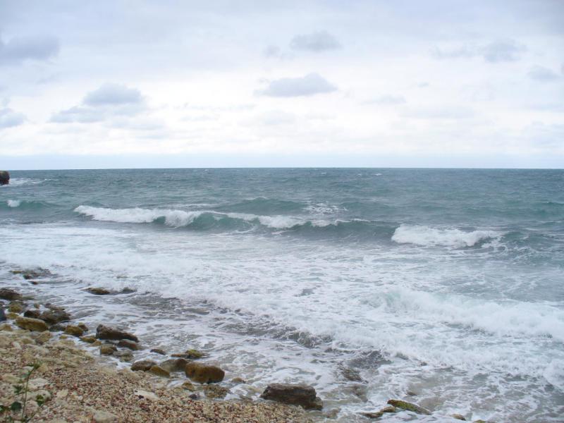 Прикрепленное изображение