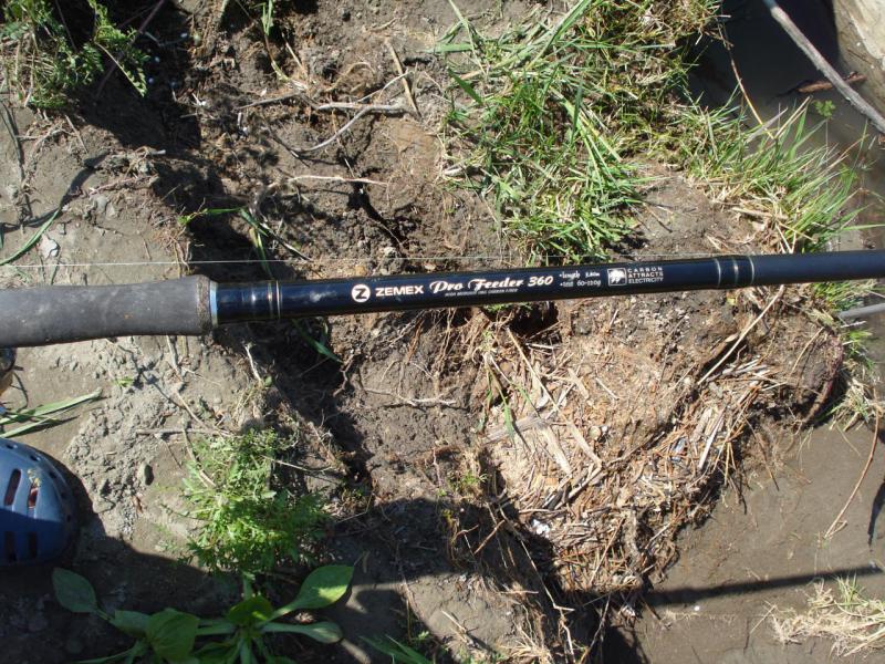 Прикрепленное изображение