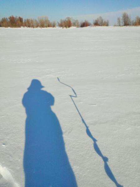 Прикрепленное изображение