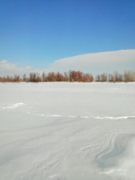 Прикрепленное изображение