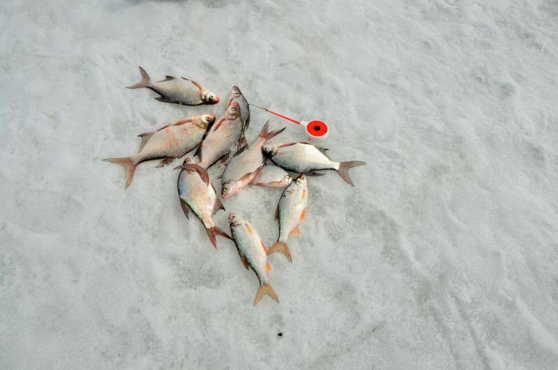 Прикрепленное изображение