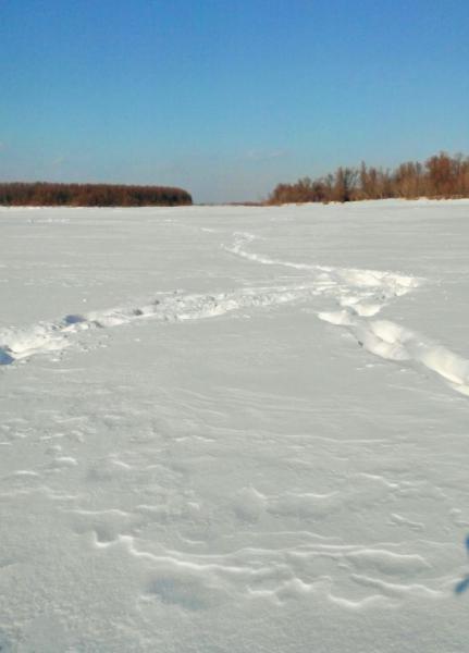 Прикрепленное изображение