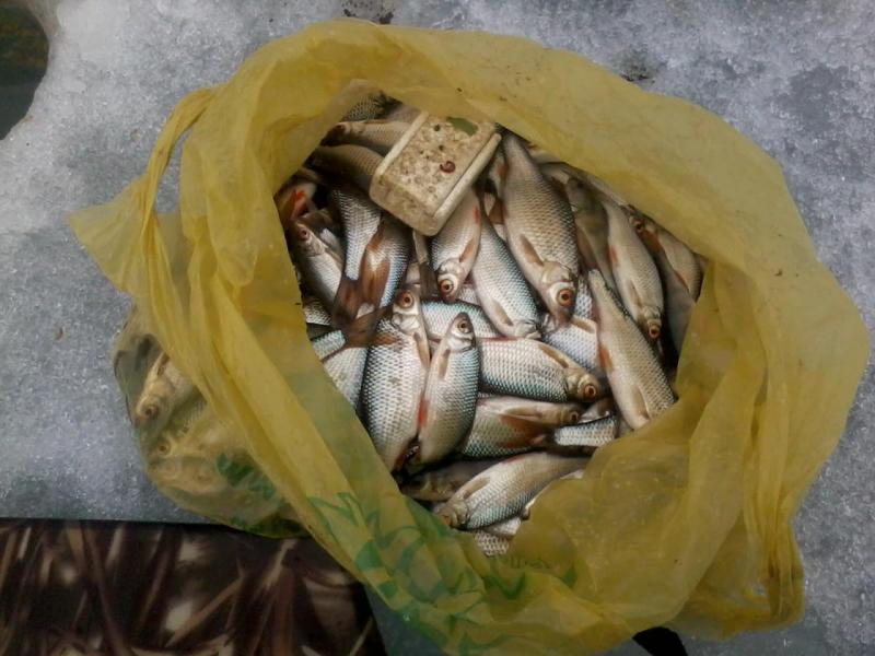 Прикрепленное изображение