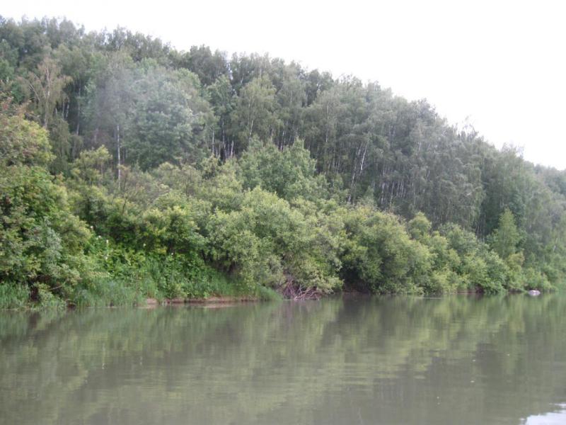 Прикрепленное изображение