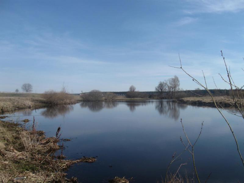 Прикрепленное изображение