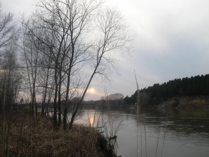 Прикрепленное изображение