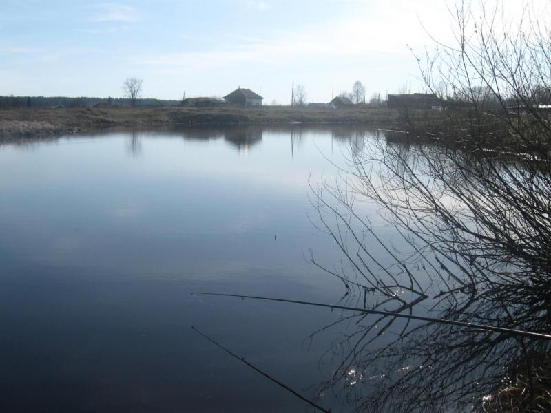 Прикрепленное изображение