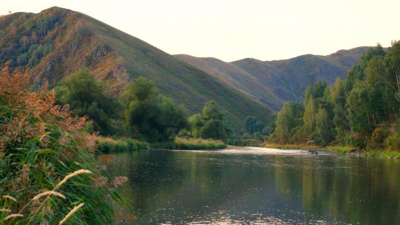 Прикрепленное изображение