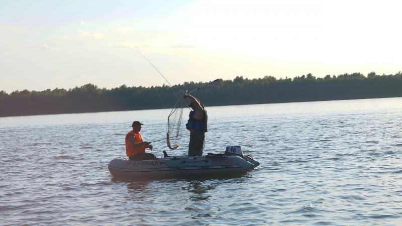 Прикрепленное изображение