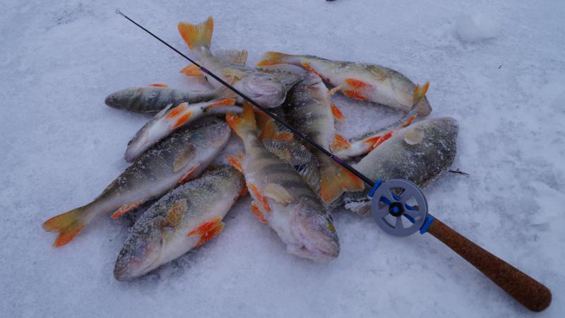 Прикрепленное изображение