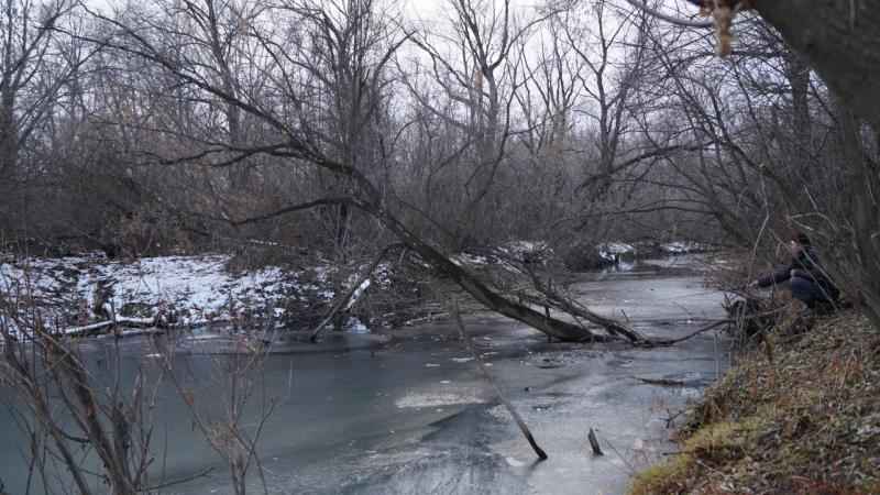Прикрепленное изображение