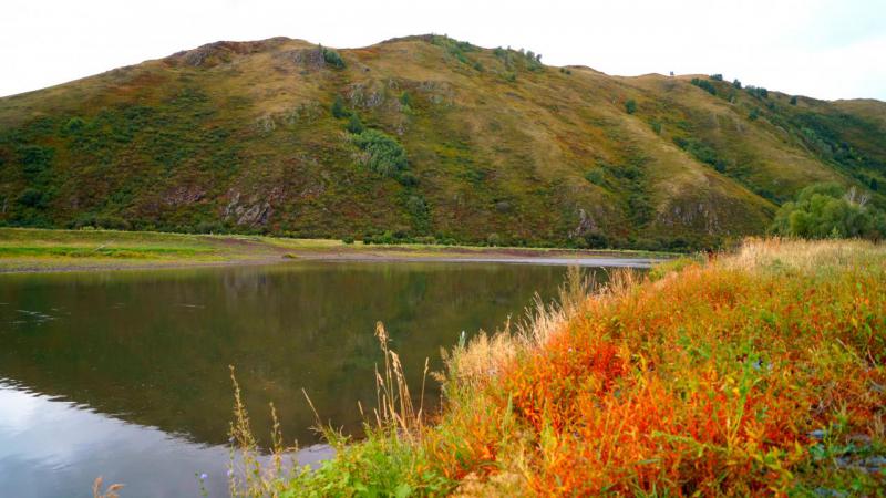 Прикрепленное изображение