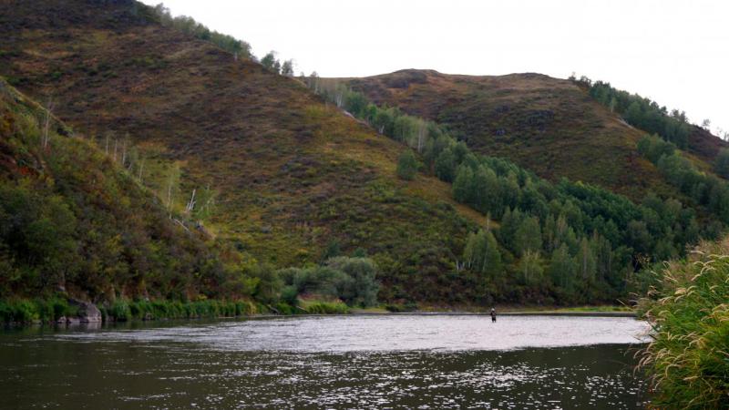 Прикрепленное изображение