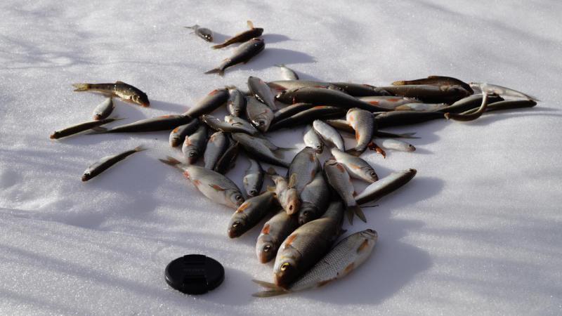 Прикрепленное изображение