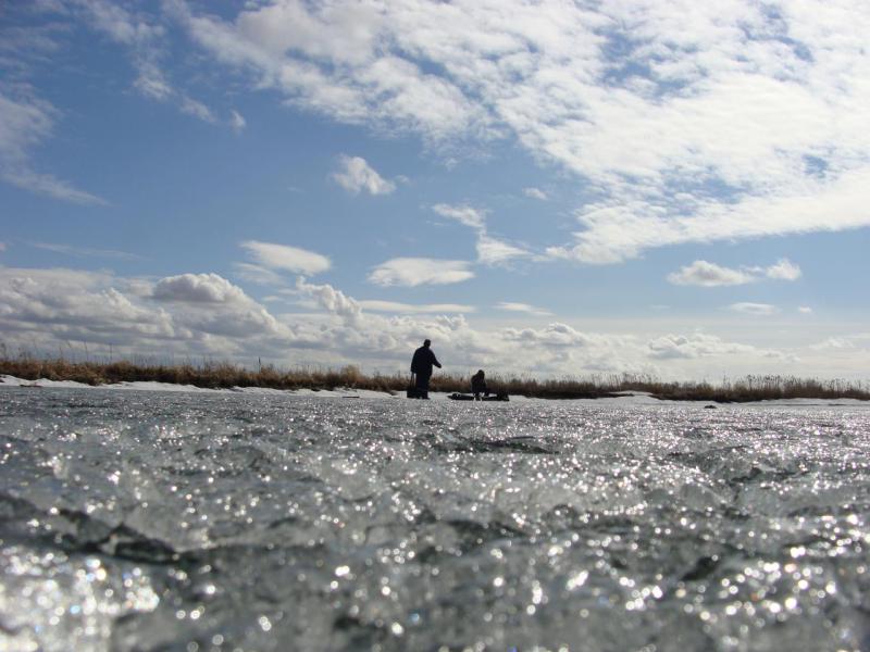 Прикрепленное изображение