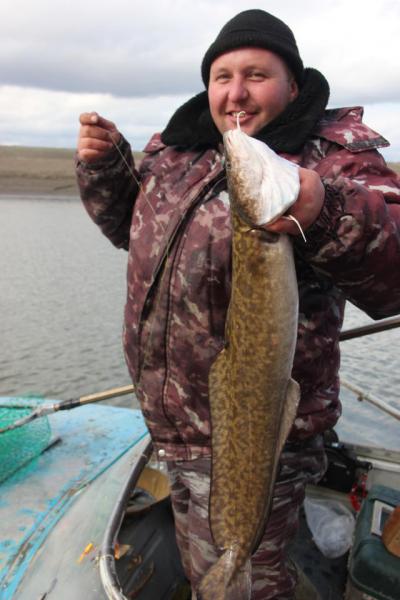 Прикрепленное изображение