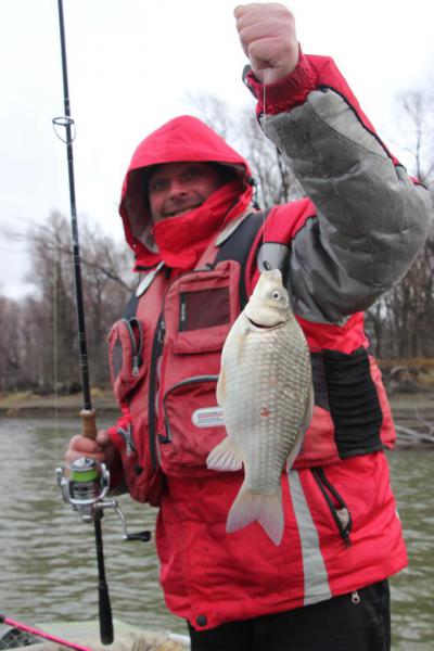 Прикрепленное изображение