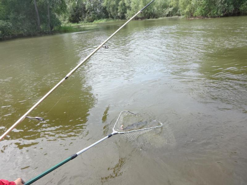 Прикрепленное изображение