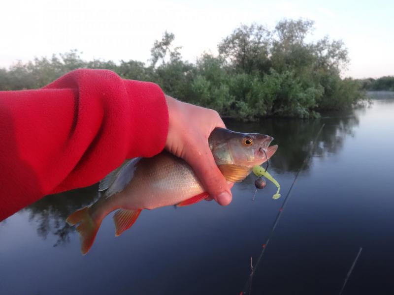 Прикрепленное изображение