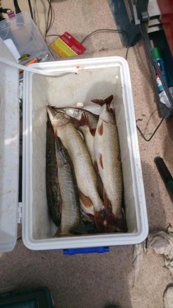 Прикрепленное изображение