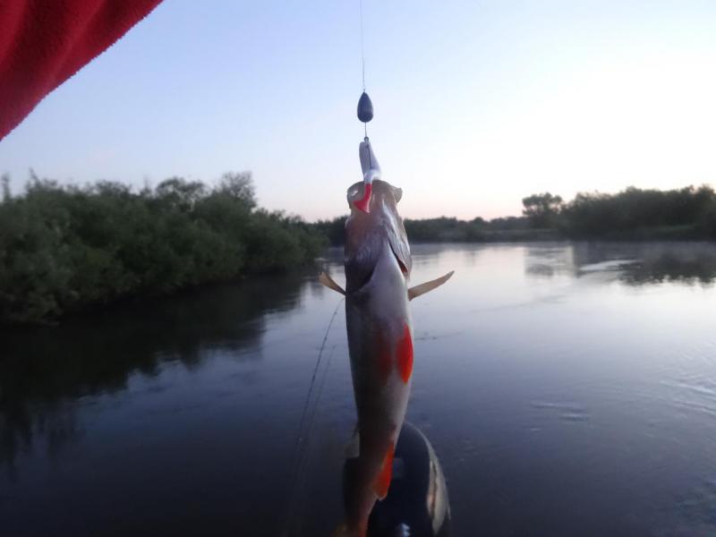 Прикрепленное изображение