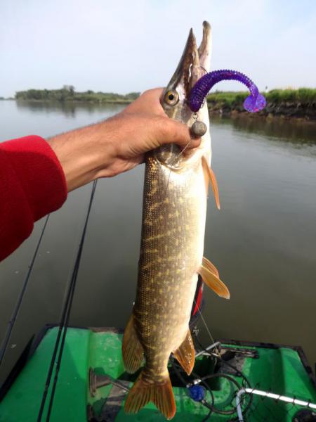 Прикрепленное изображение