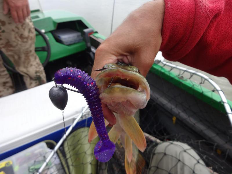 Прикрепленное изображение