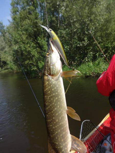 Прикрепленное изображение