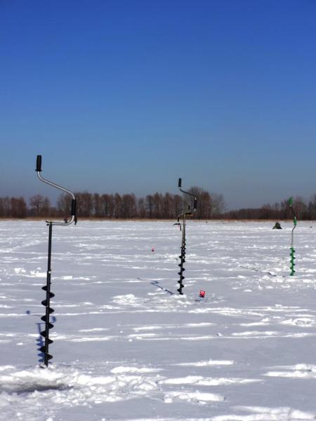 Прикрепленное изображение