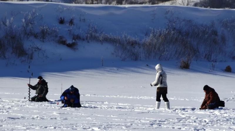 Прикрепленное изображение