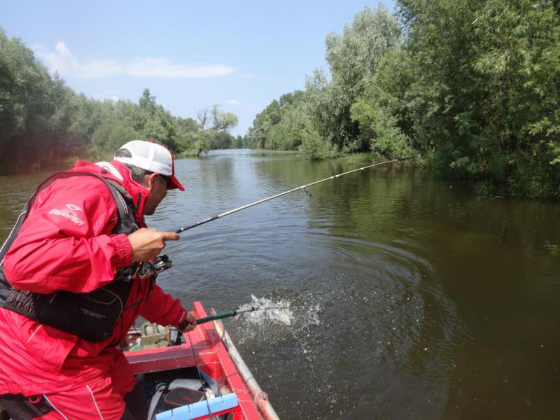 Прикрепленное изображение