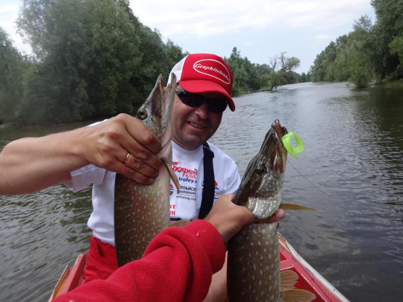 Прикрепленное изображение