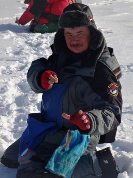 Прикрепленное изображение