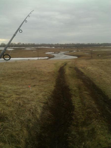 Прикрепленное изображение