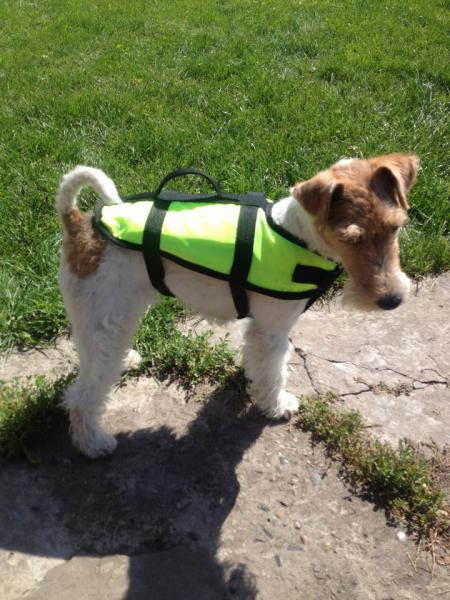 Прикрепленное изображение