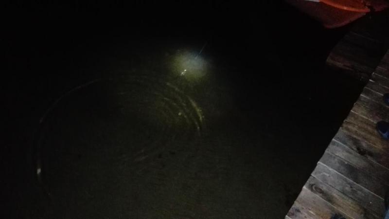 Прикрепленное изображение