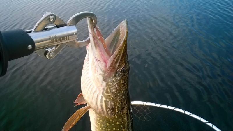 Прикрепленное изображение