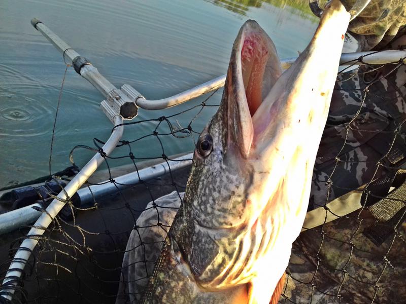 Прикрепленное изображение