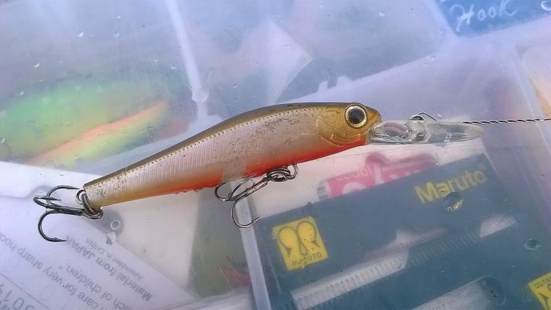 Прикрепленное изображение